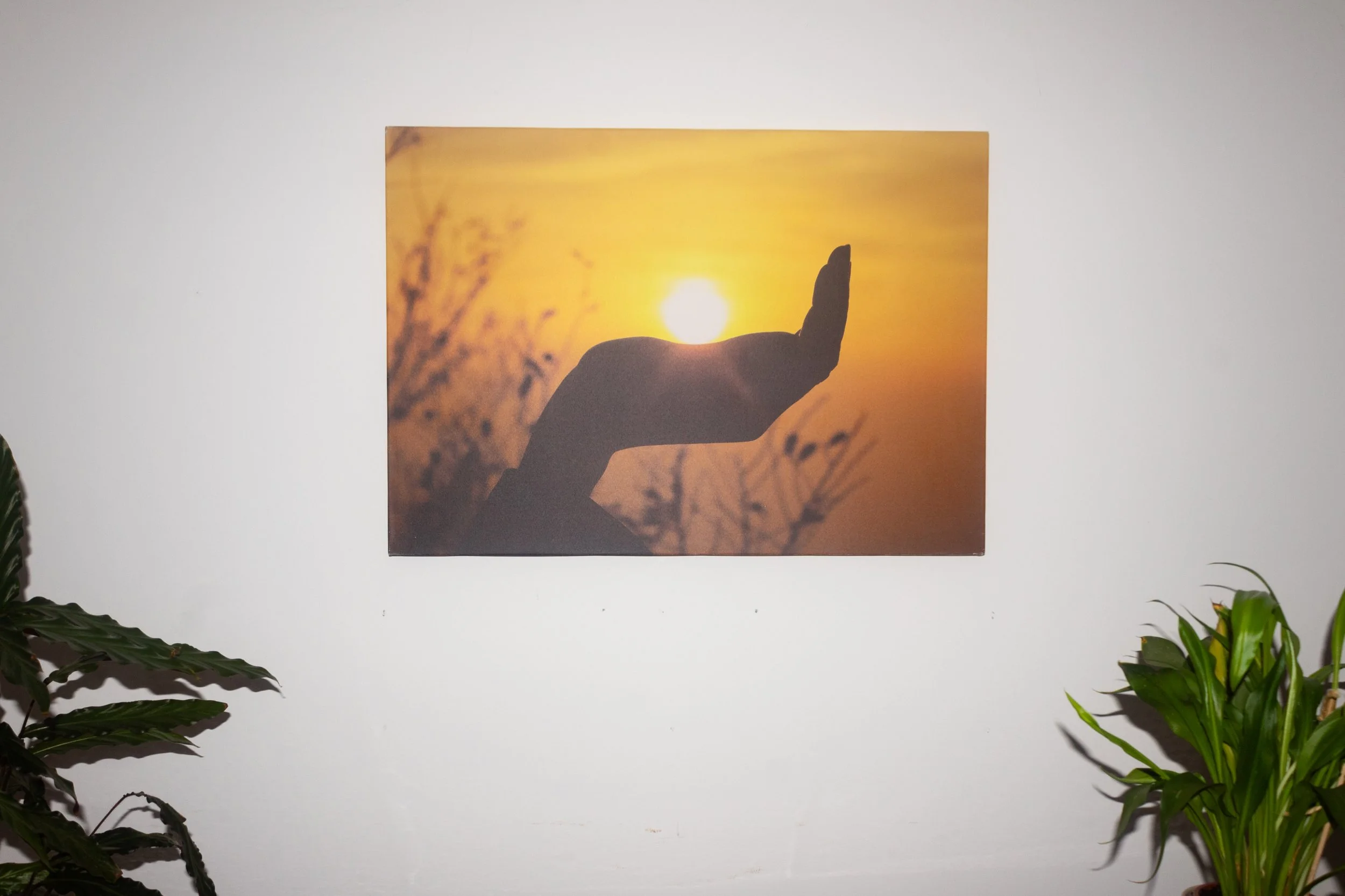 website product images-4.jpg