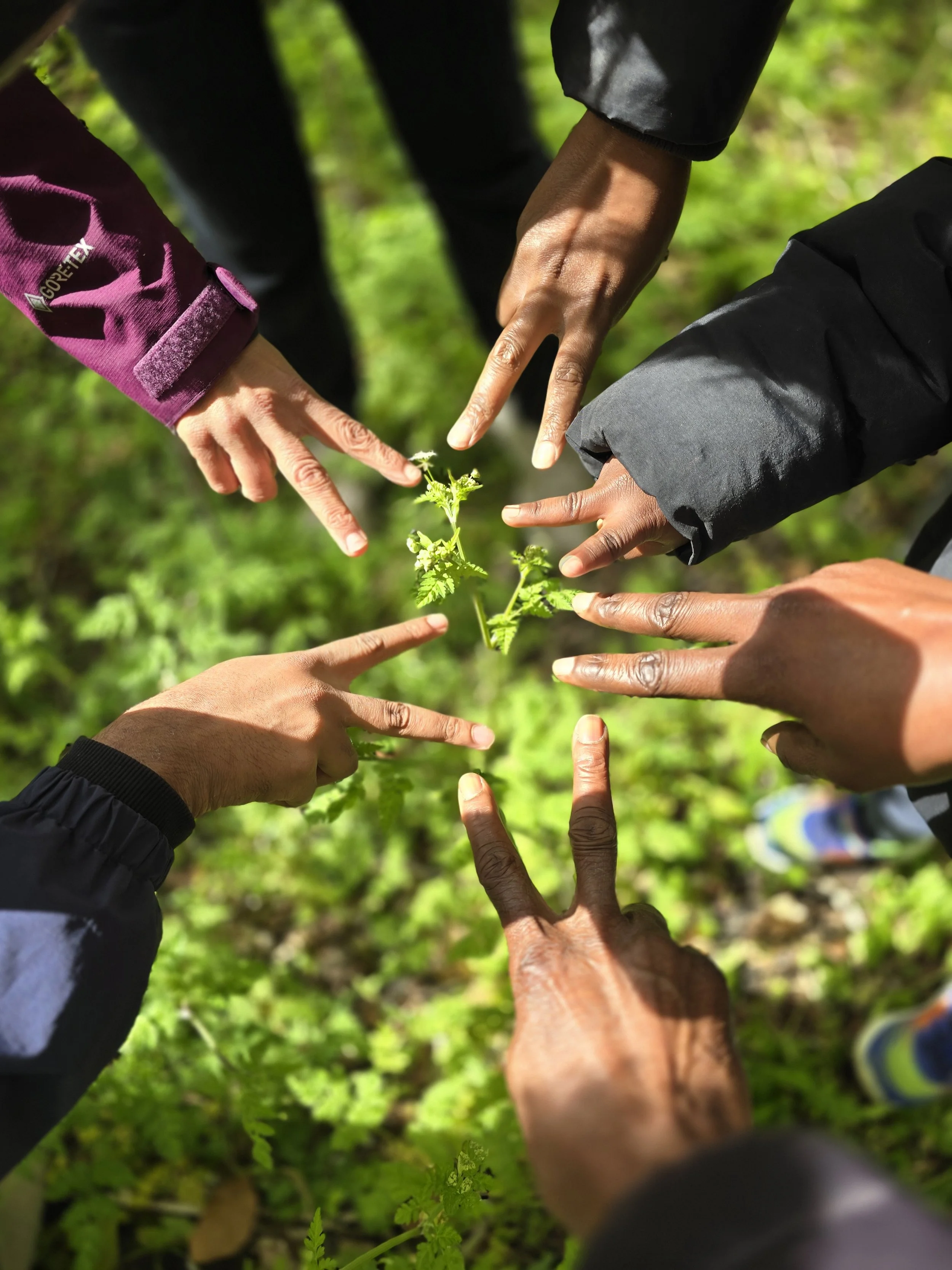 Humanity Finds Peace in Nature — Limited Edition