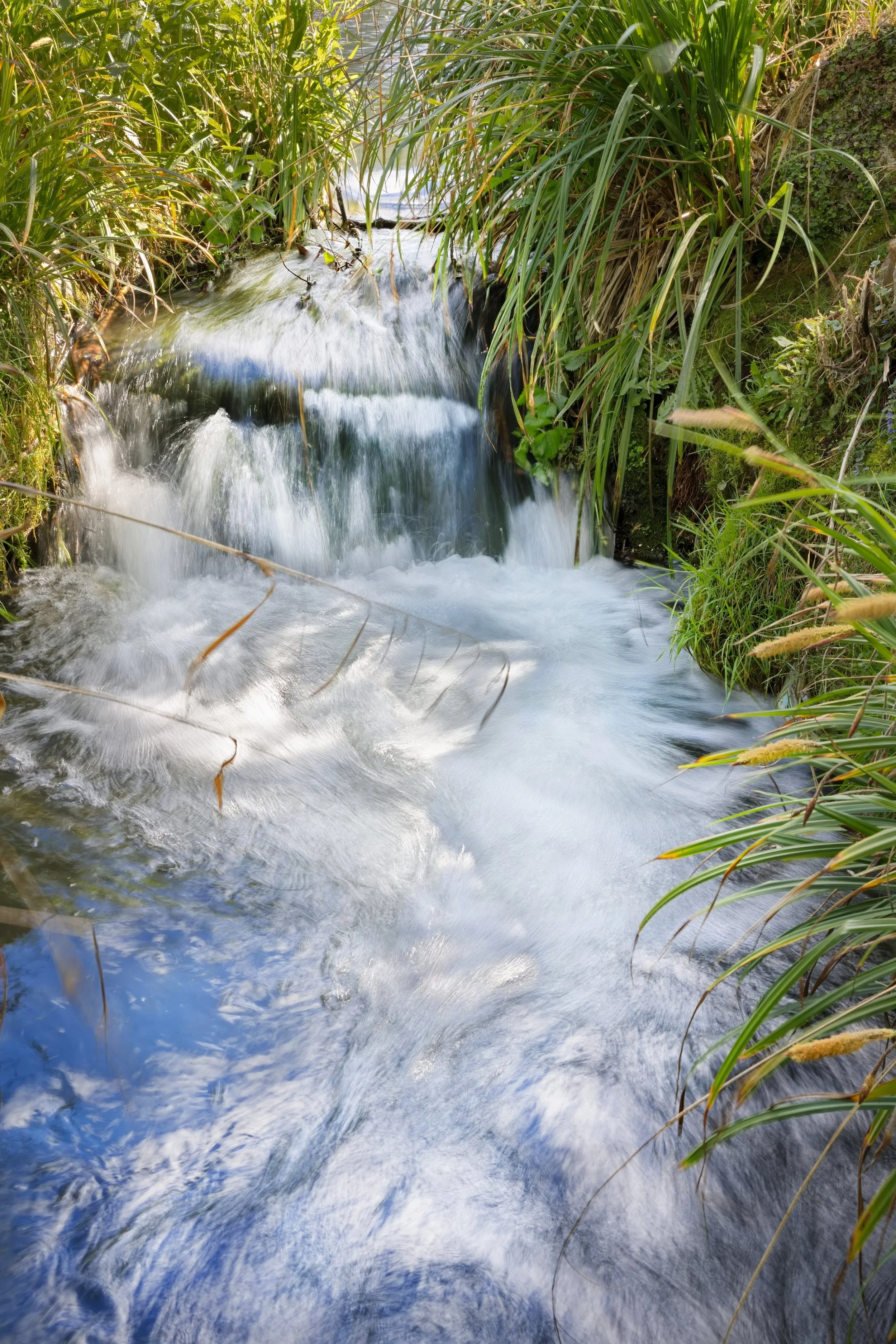 In The Flow — Limited Edition