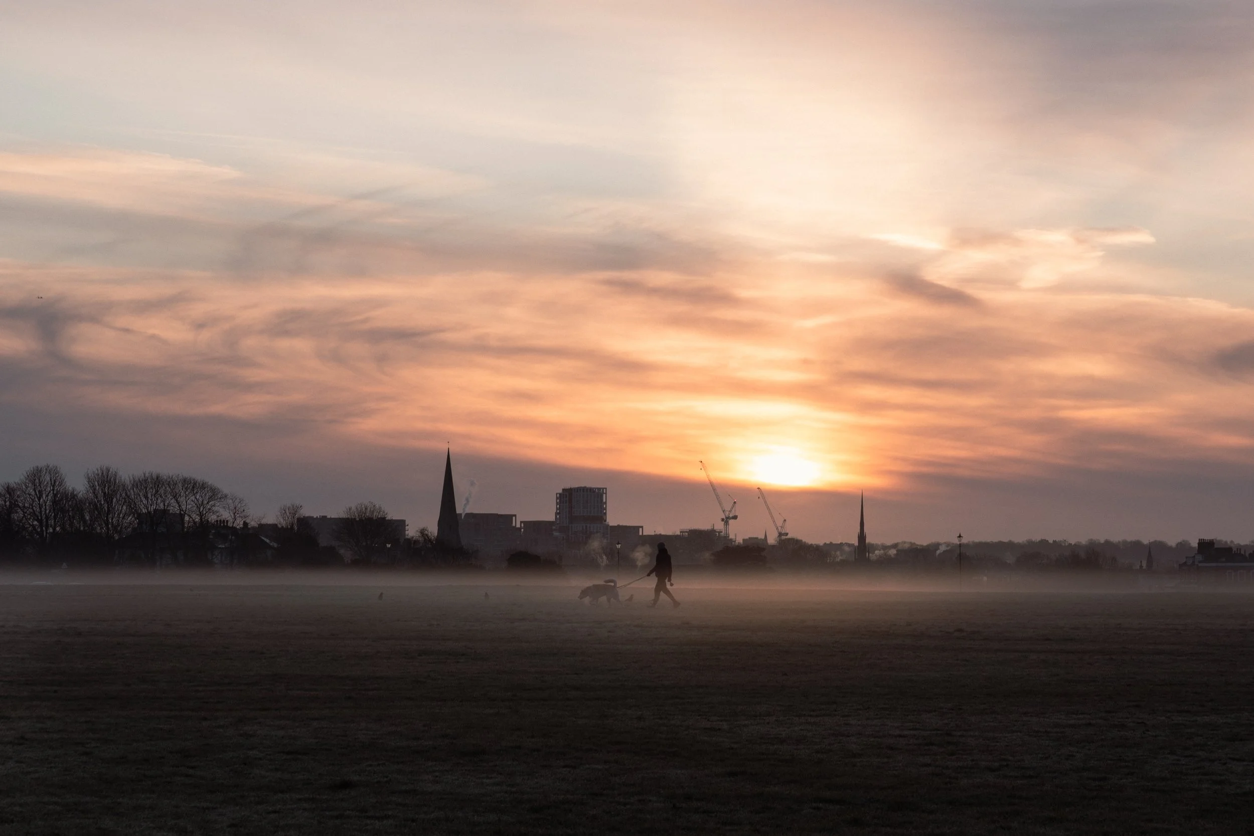 Through the Mist — Limited Edition