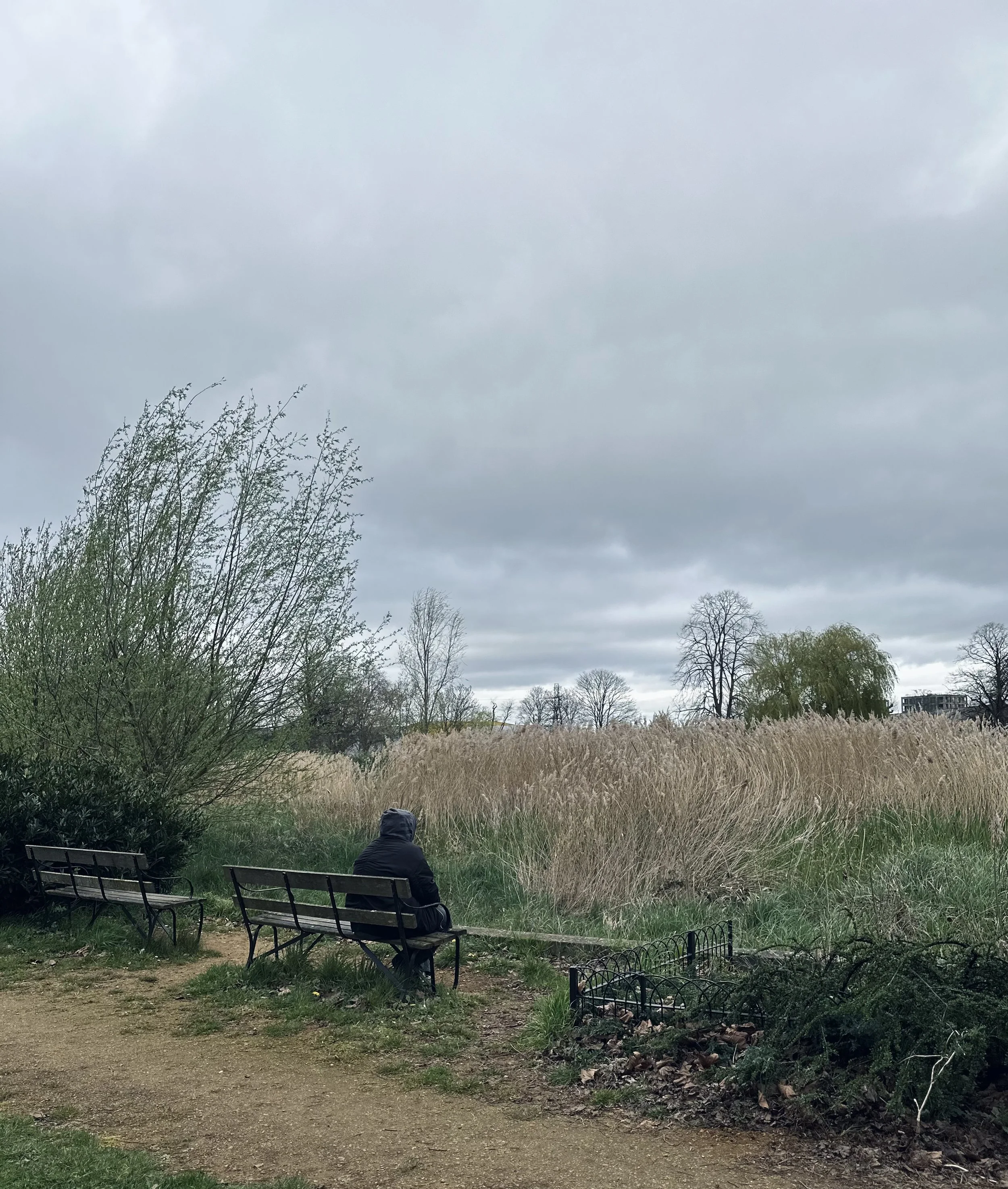 A Time to Reflect — Limited Edition