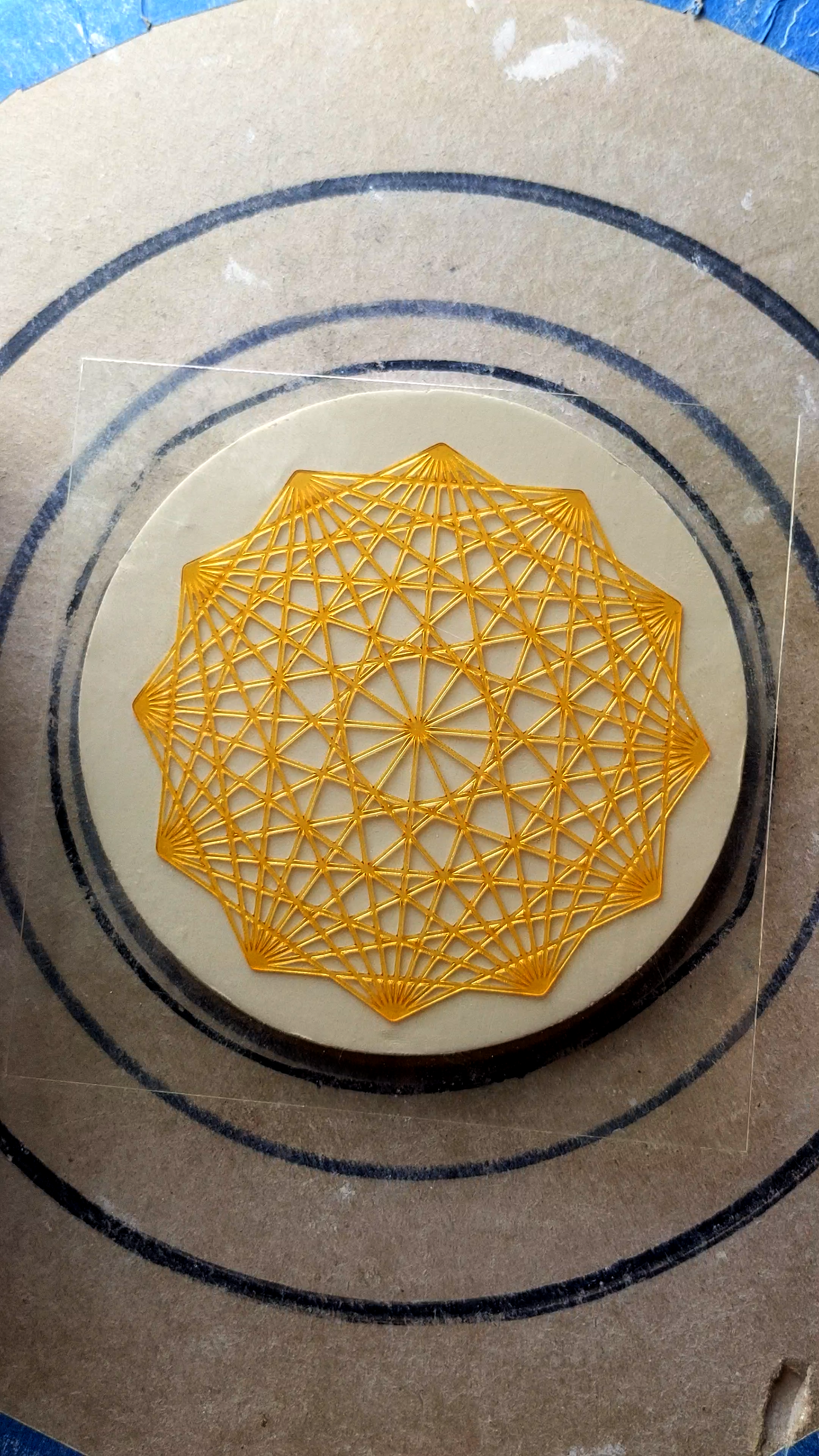 Snapshot 13-01-2026 28.PNG