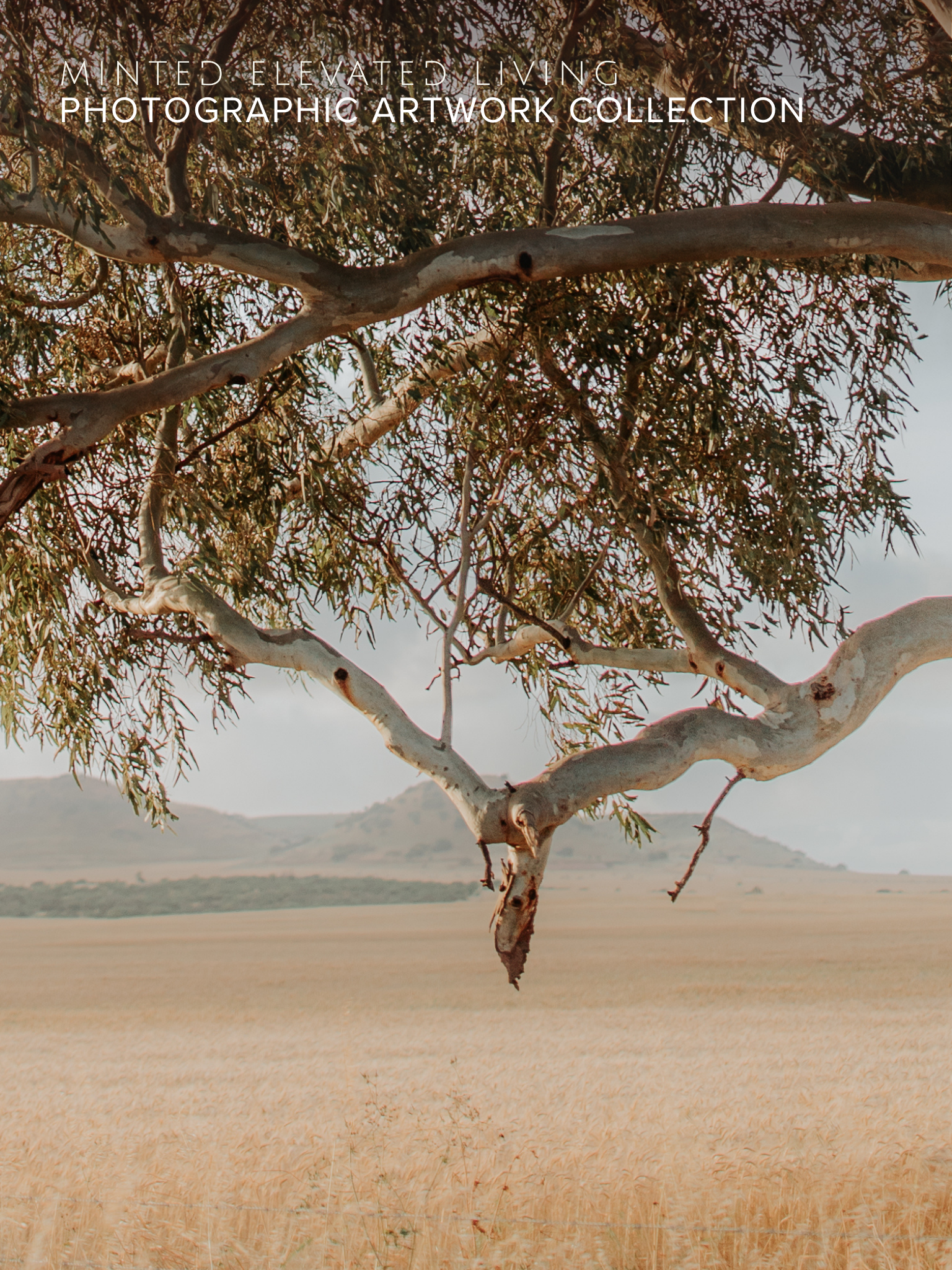 MEL Tree.png