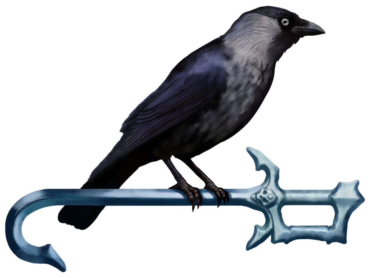 DC_pin_Jackdaw-1.png