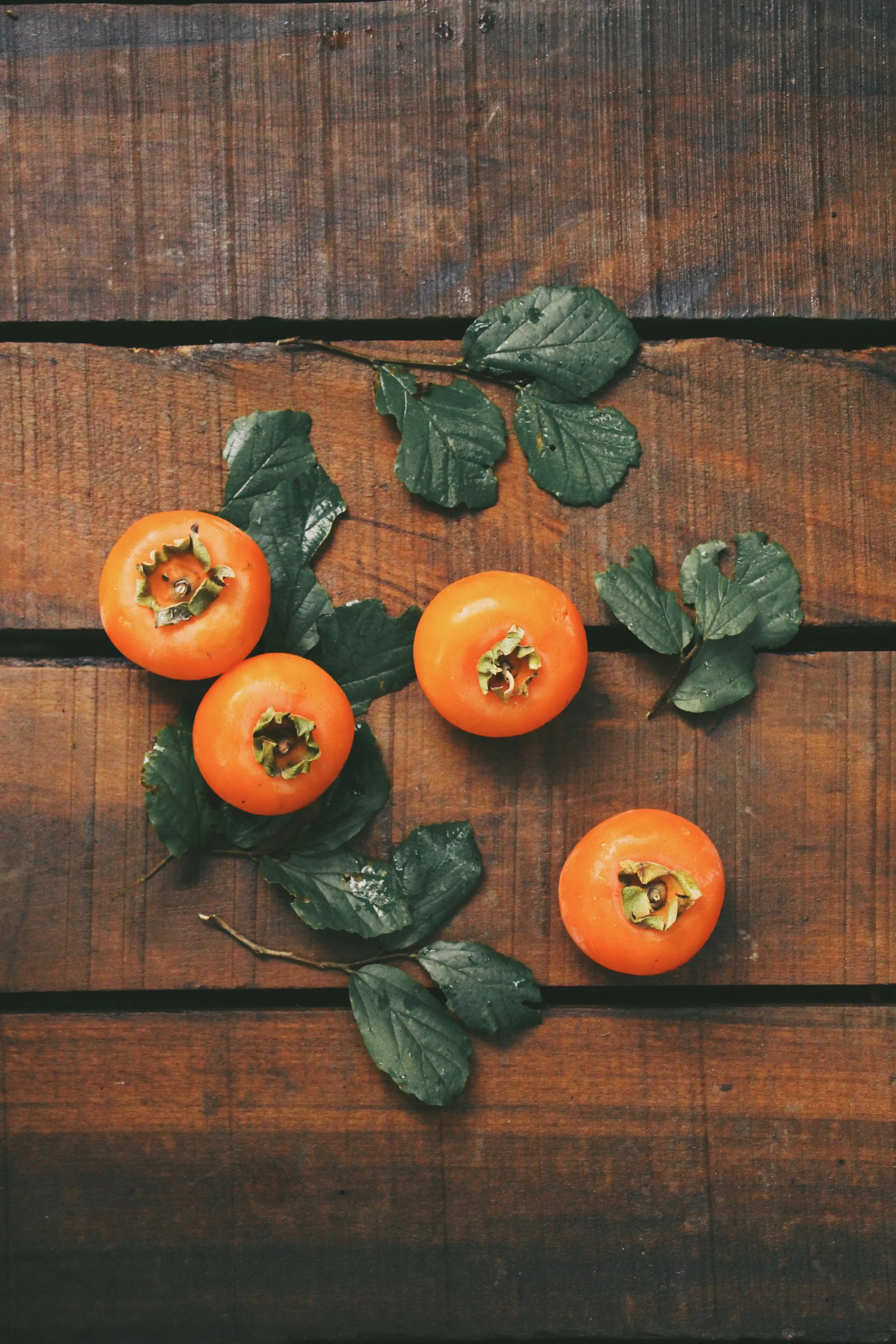The Glorious Persimmon