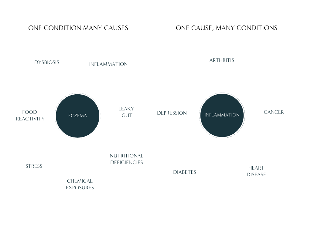 Functional Conditions About Functional Medicine — Surrey Centre For Nutrition