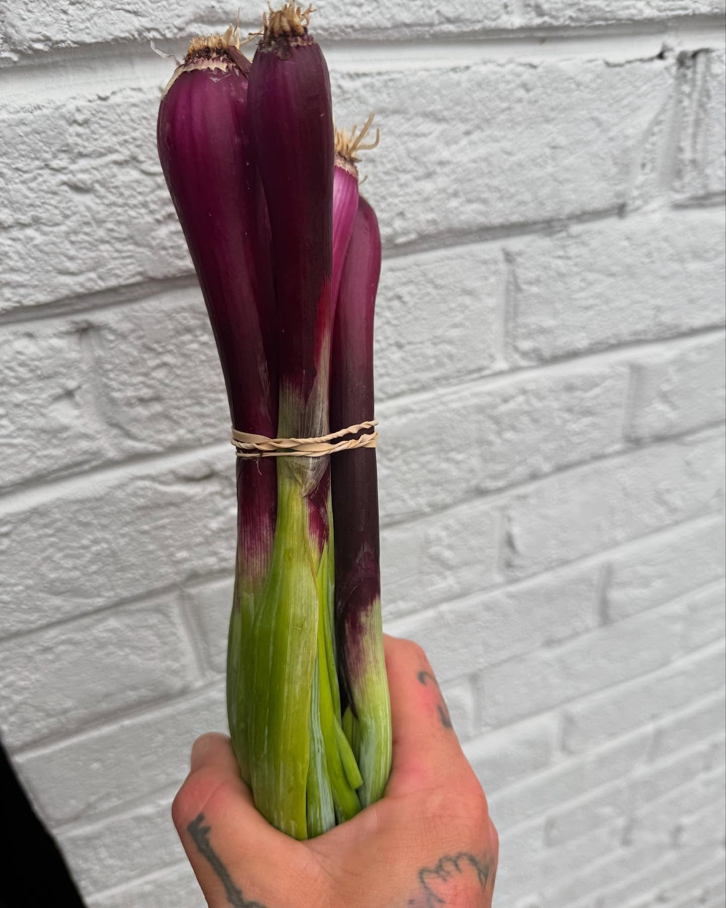 So much great produce coming in from our friends this time of year.  Always something new in the menu.  Eat Pizza, Support Local, Be Happy.