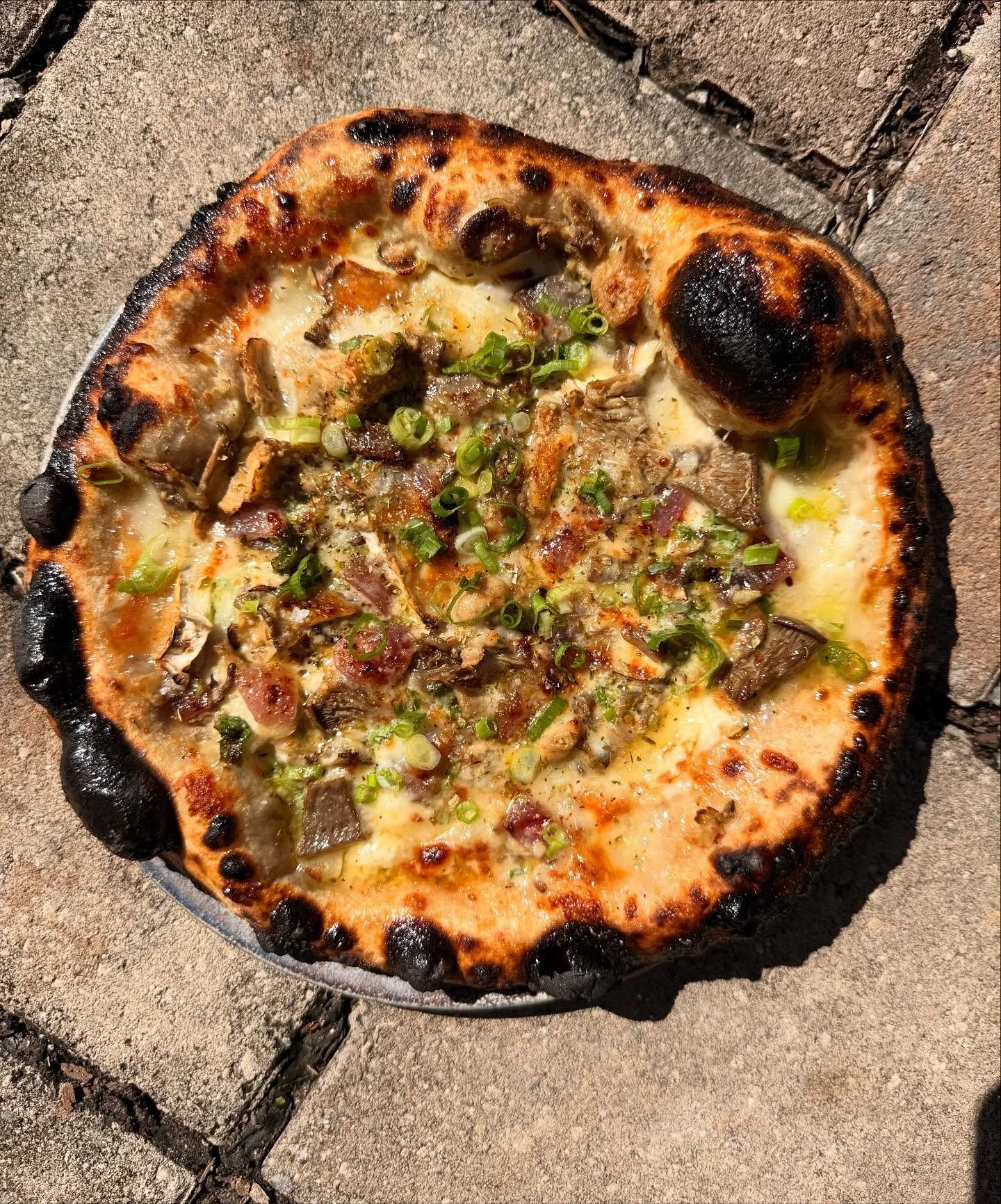 Just an unassuming mushroom pizza.  Simple and delicious just like it should be.
Mushroom - roasted garlic cream, aged Spanish goat cheese, roasted onion, scallion.  Add prosciutto if you so desire