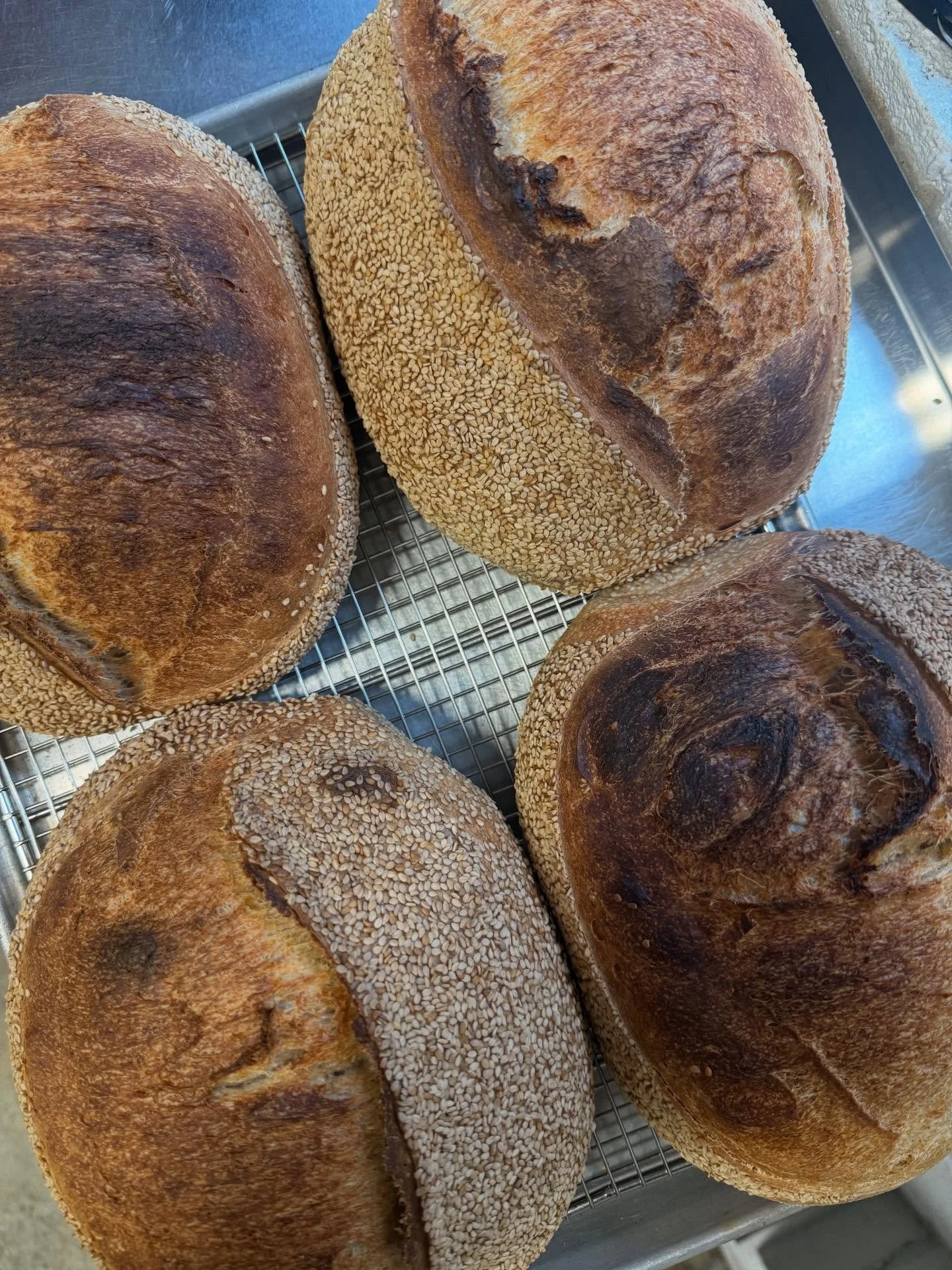 Strong bake day, really good mixes this week.  It&rsquo;s a good day to get some Salita breakfast.  Some new seasonals and some classics.

Benne Sourdough
Cranberry Pistachio Bialy
Mushroom and Onion Bialy
Orange, Pinenut and Rosemary Olive Oil Muffi