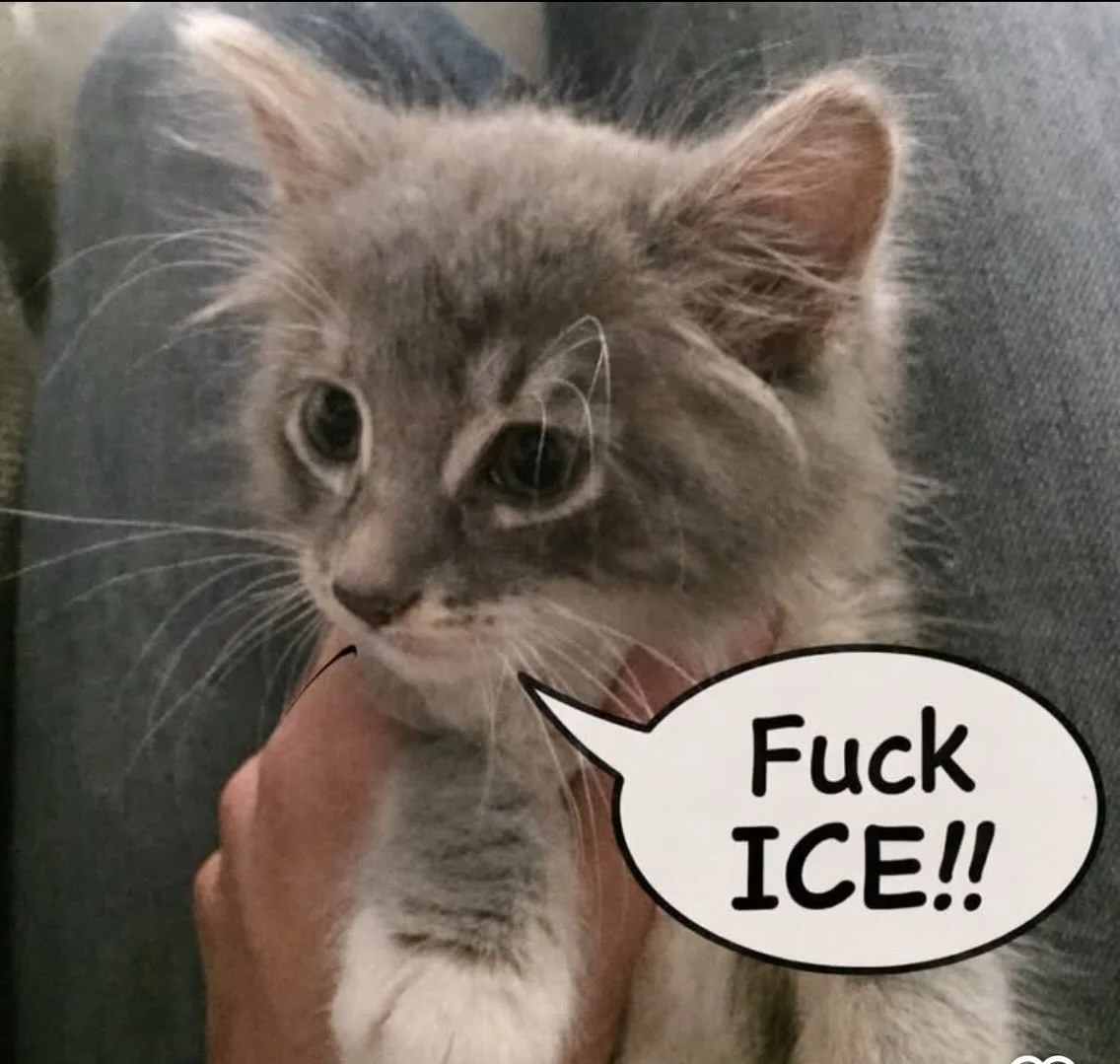 After much deliberation and debate we have decided to be open today.  Many of you know where we stand on the current issues facing our country, we have been open a vocal about our stance and beliefs, we will continue to do so.  We absolutely stand in