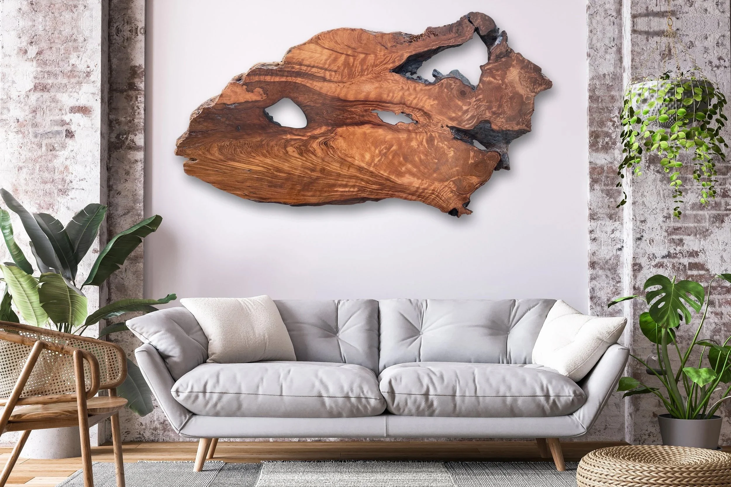 Old Growth Redwood Slab in a Modern Living Room