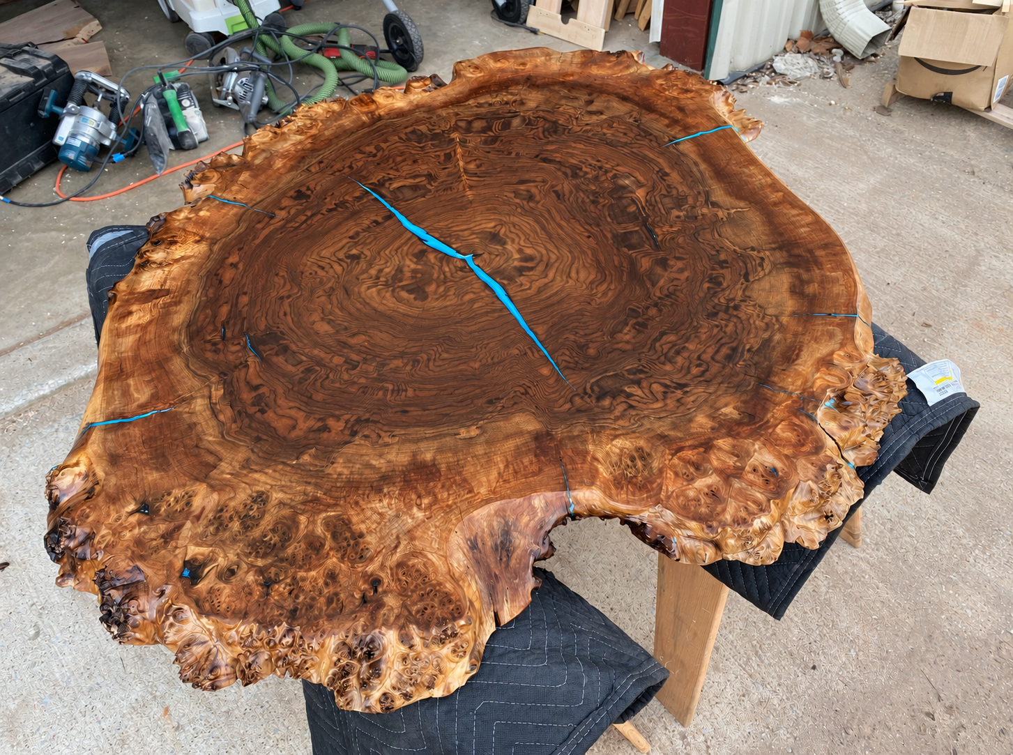 Live Edge Claro Walnut Burl Coffee Table Top with Caribbean Blue Accent Resin