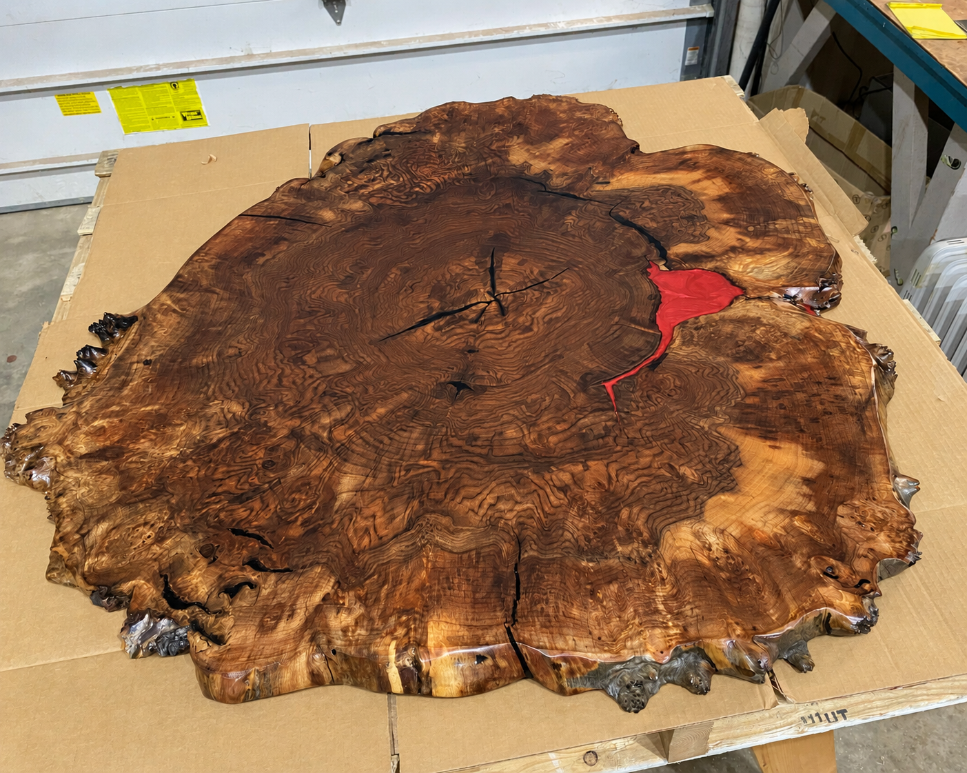 Claro Walnut Burl Live Edge Coffee Table Top with Red Resin Accent