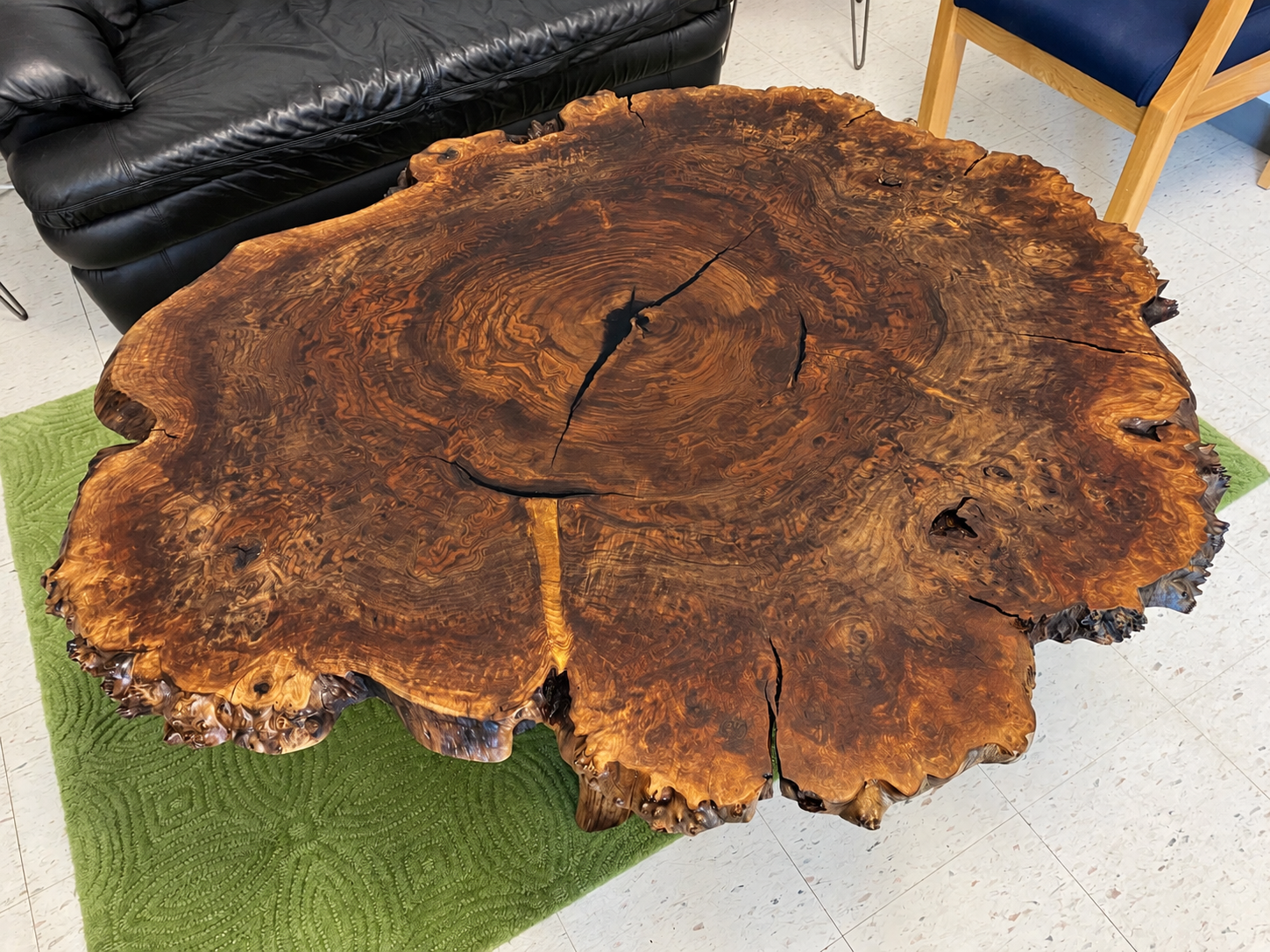 Claro Walnut Burl Live Edge Coffee Table