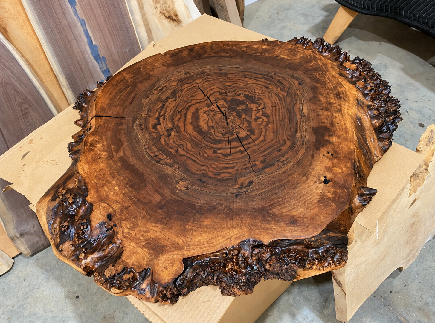 Claro Walnut Burl Live Edge Coffee Table Top