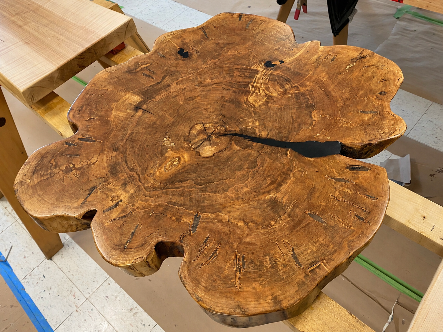 Large Live Edge Elm Coffee Table Top