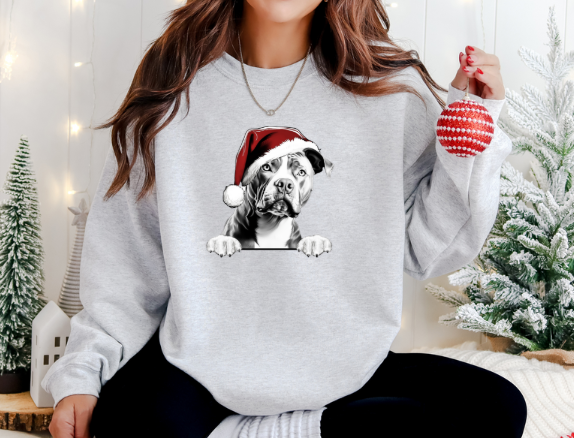 Pitbull Santa Hat.png