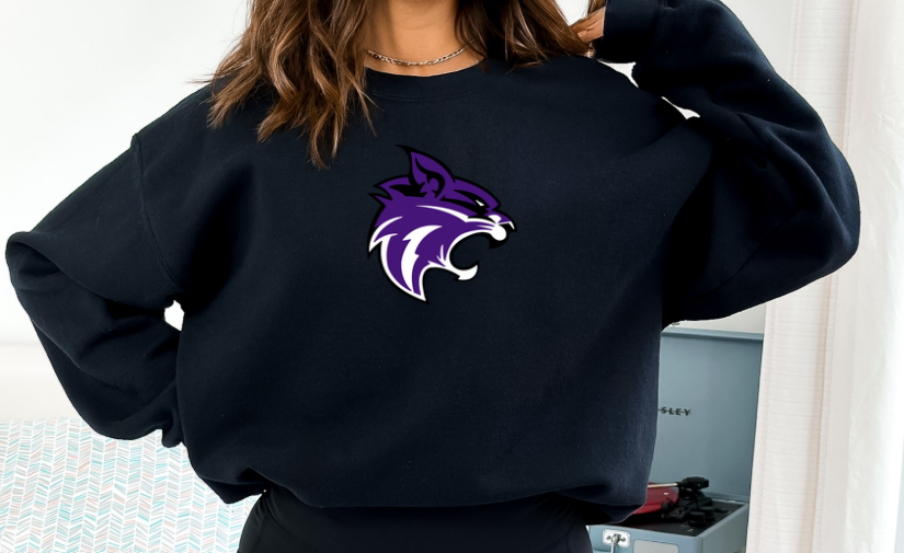 Hampshire Football Mascot Oversized Mck- front.png