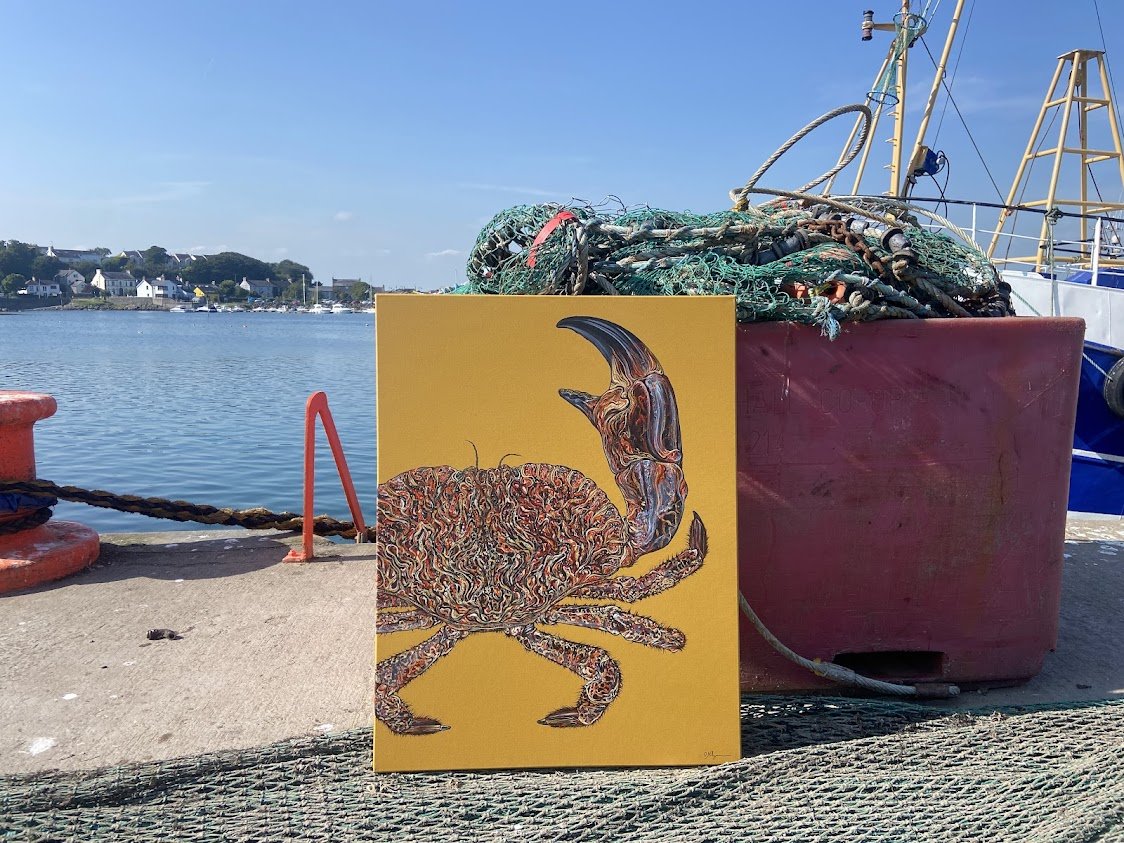'The Harbour' Exhibition_Crab_2.jpg