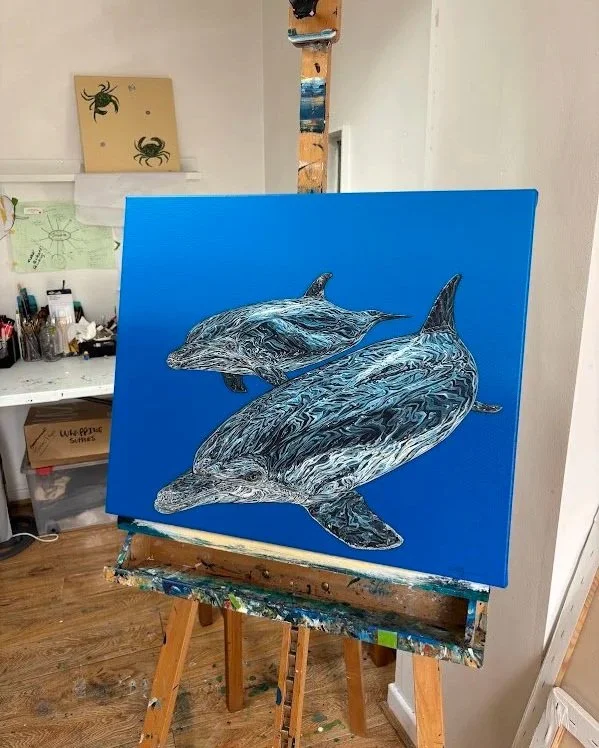 dolphin13.jpg