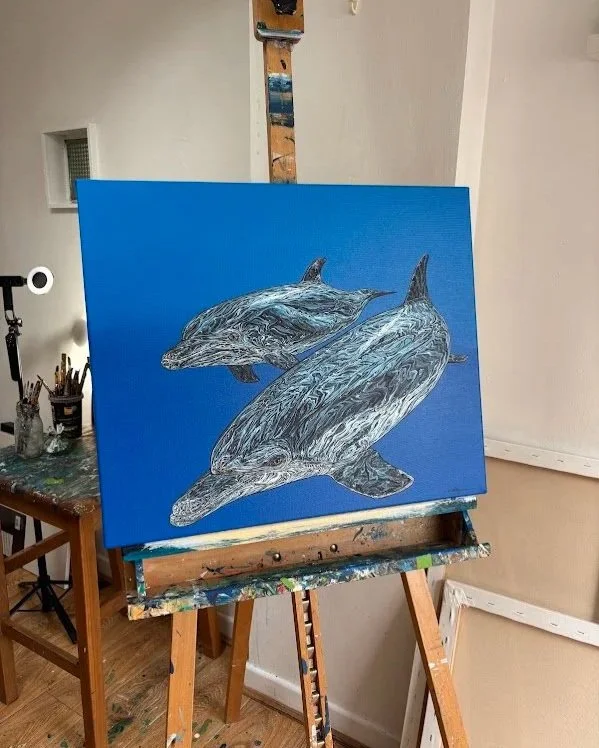 dolphin15.jpg