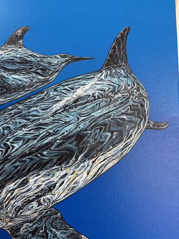 dolphin73.jpg
