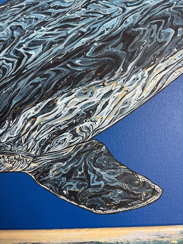 dolphin7.jpg