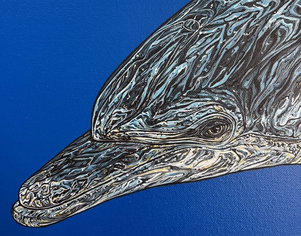 dolphin5.jpg