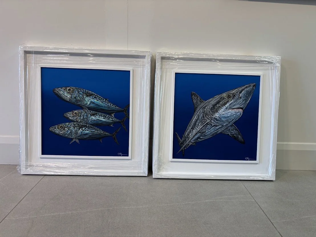 shark and mackerel 1.jpg