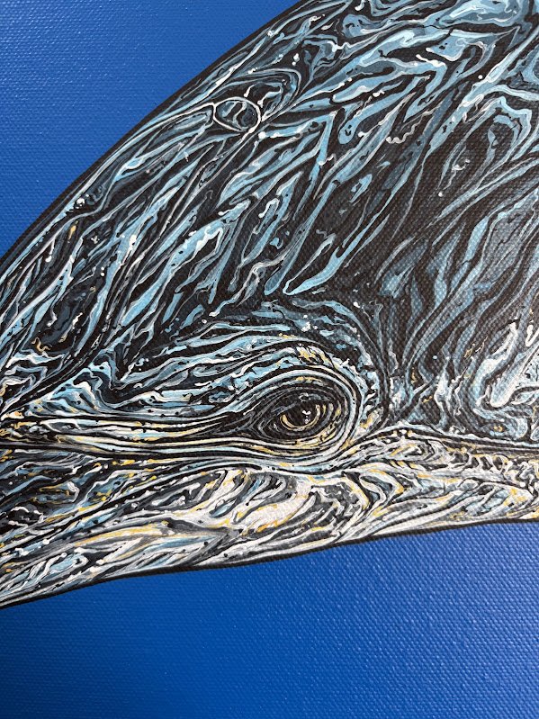 dolphin4.jpg