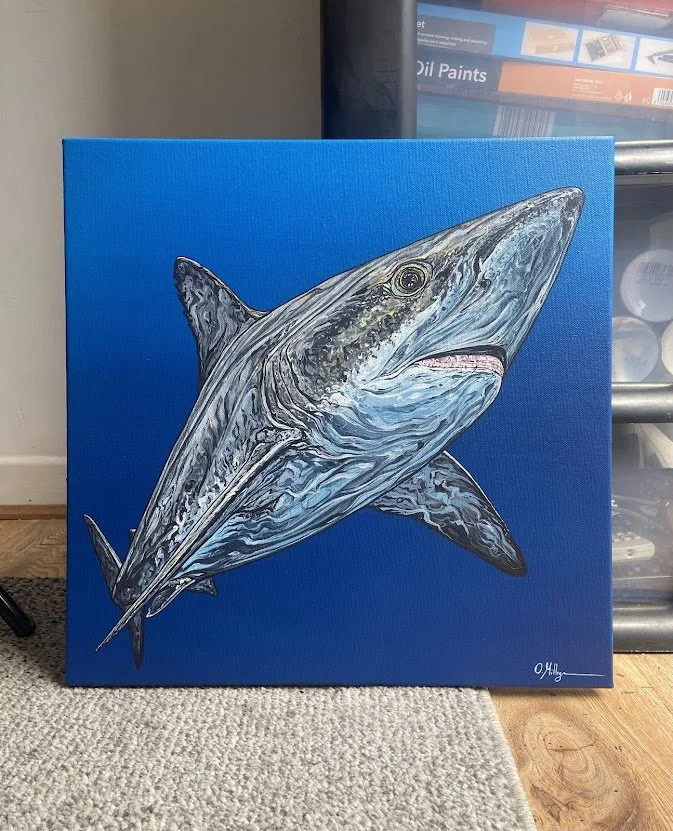 Tope Shark (sold)