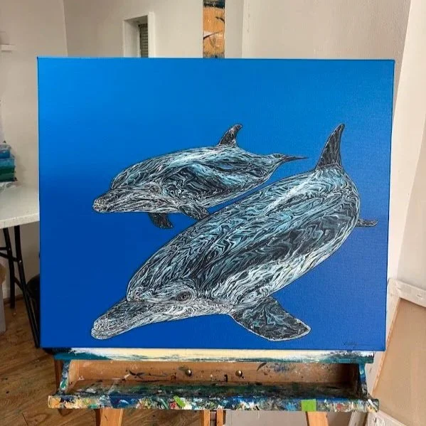 Strangford Lough Dolphins £2,500