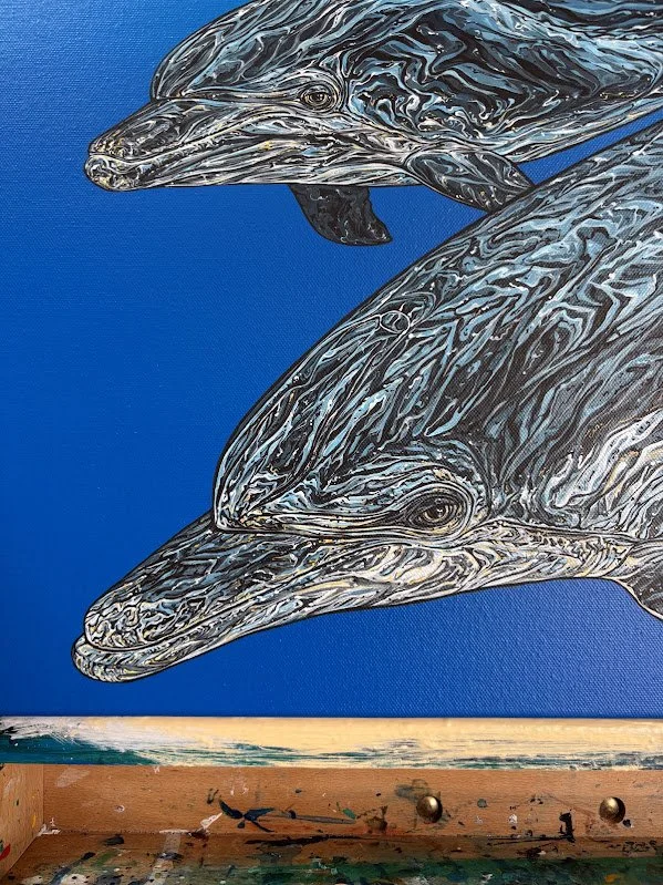 dolphin3.jpg