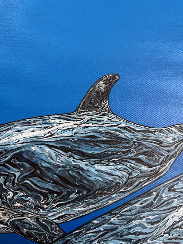 dolphin76.jpg