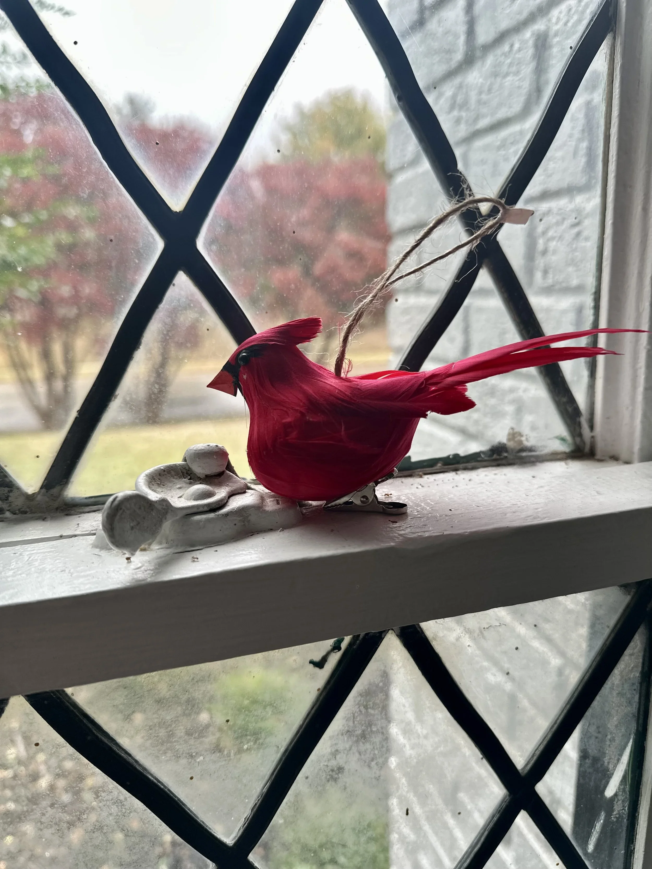 Vienna waits for you and me