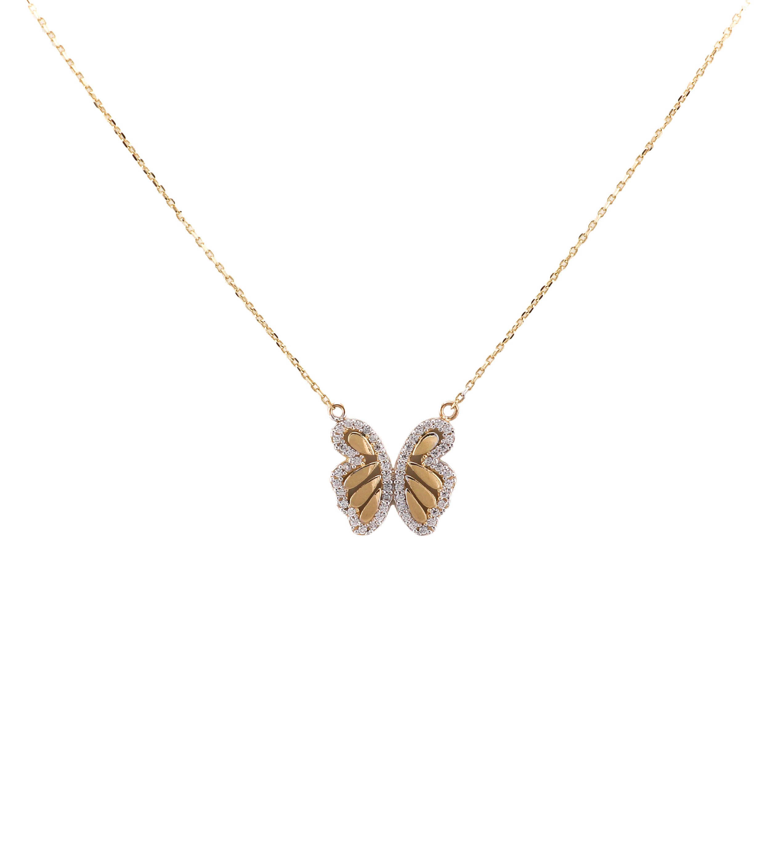 Butterfly.jpeg