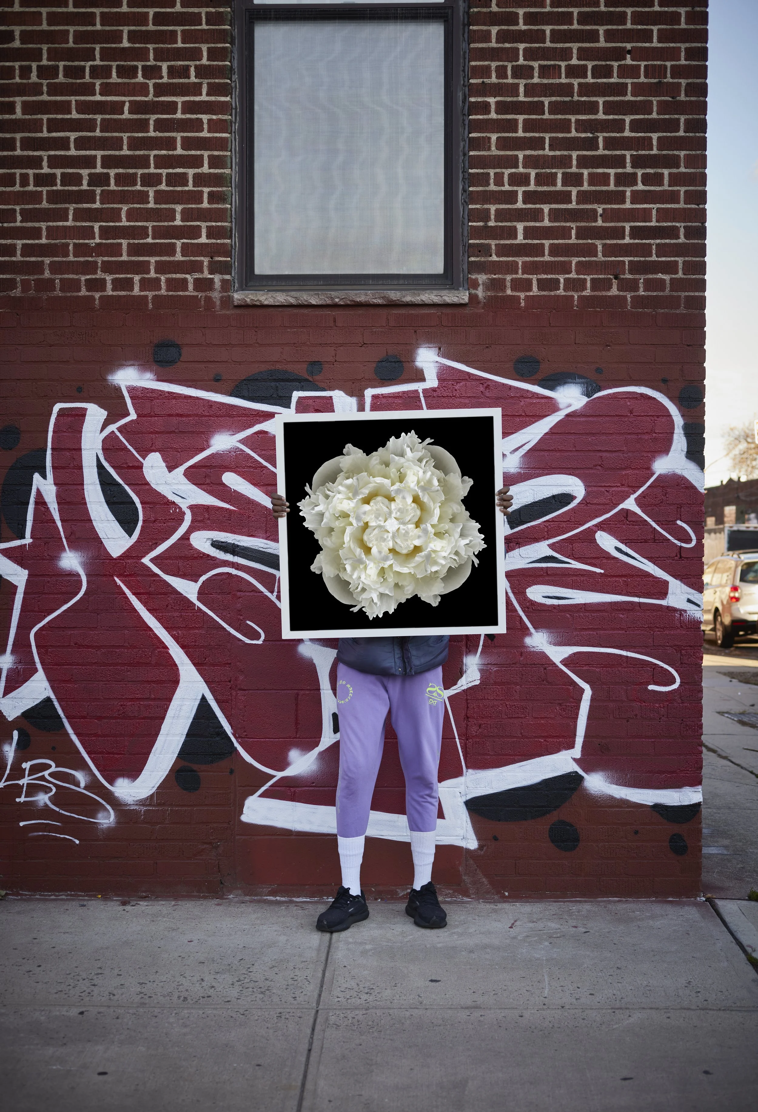 Peony Held Up in Street.jpg