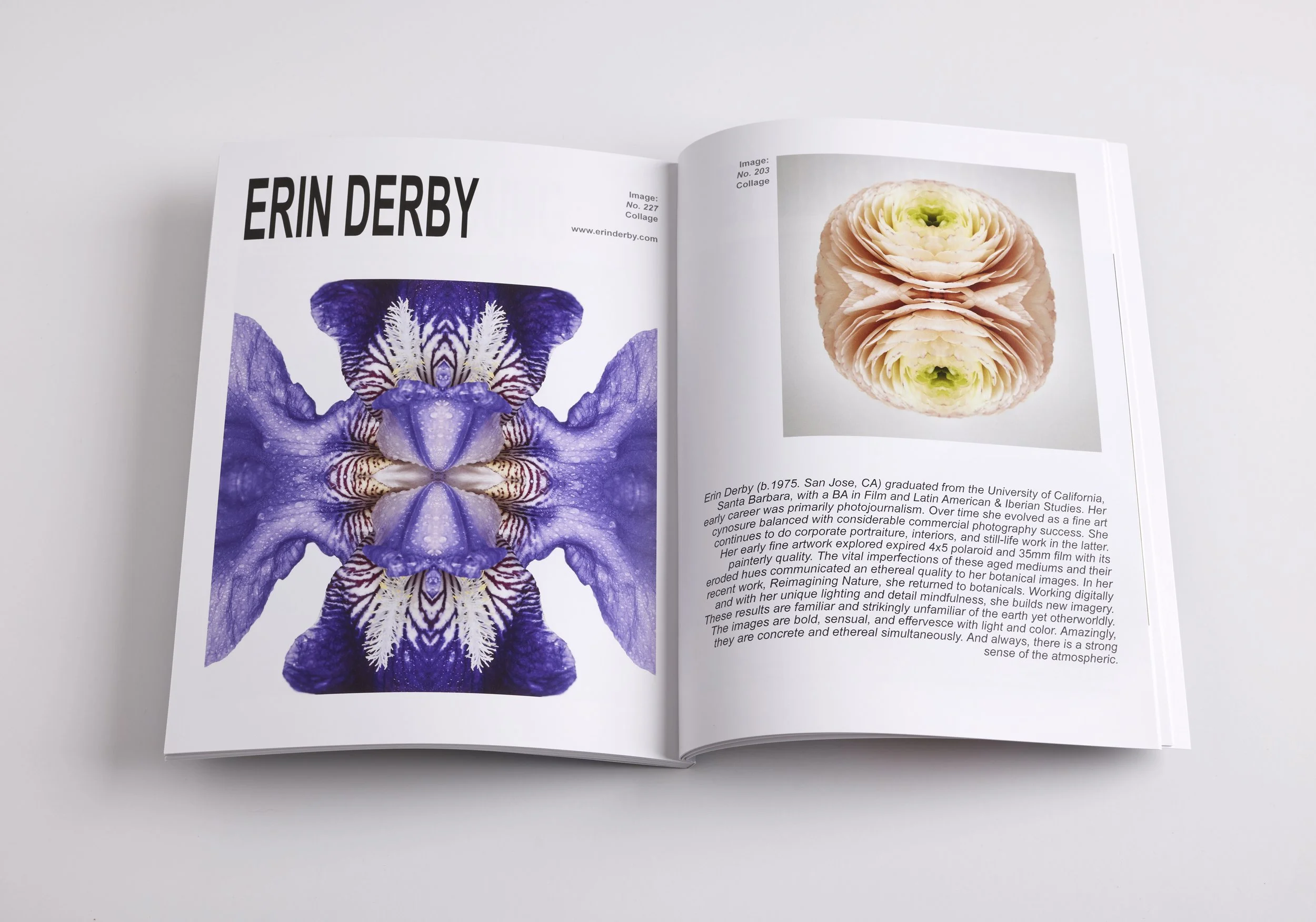 Divide Magazine 2023