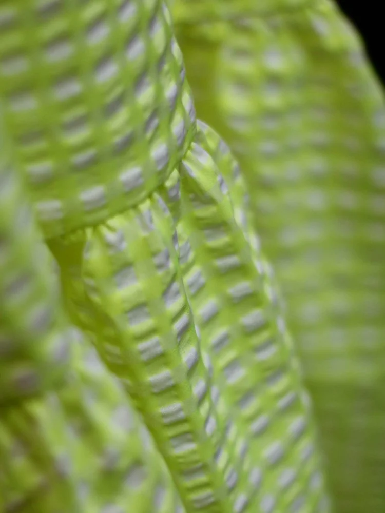 26 edith neo detail2.jpg