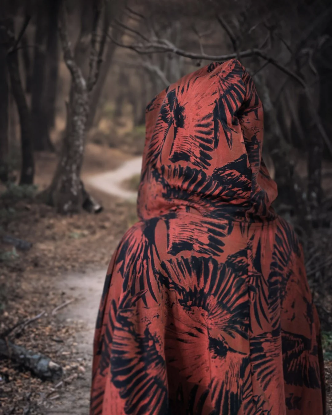 yola red ridinghood 4_5.jpg