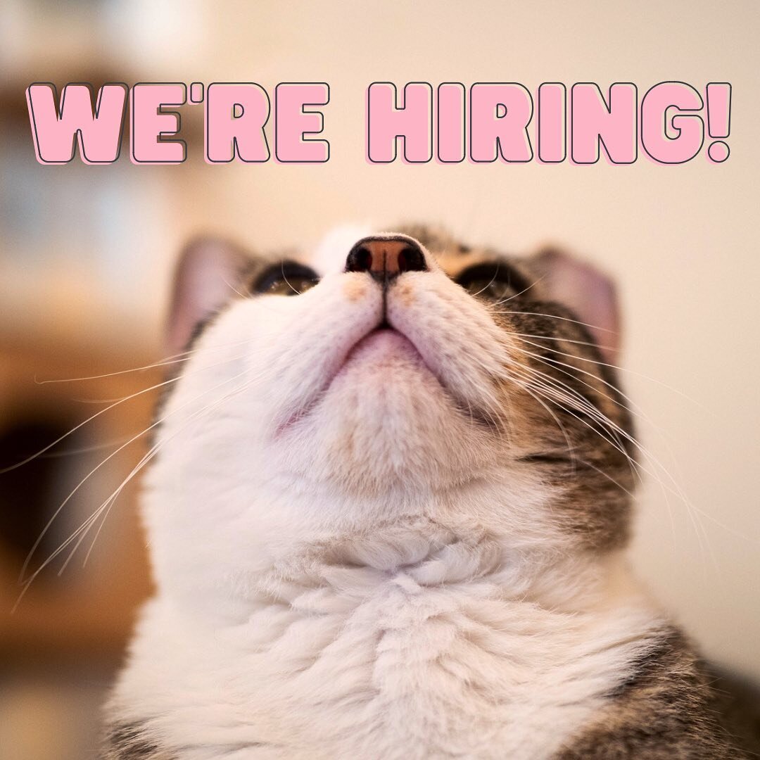 Yep, your dream job is HERE! 😻

We&rsquo;re hoping to add one crazy cat person to our team for the upcoming busy season, so if you think you&rsquo;re the purrfect fit, head over to our website to fill out an application! We&rsquo;re looking for some