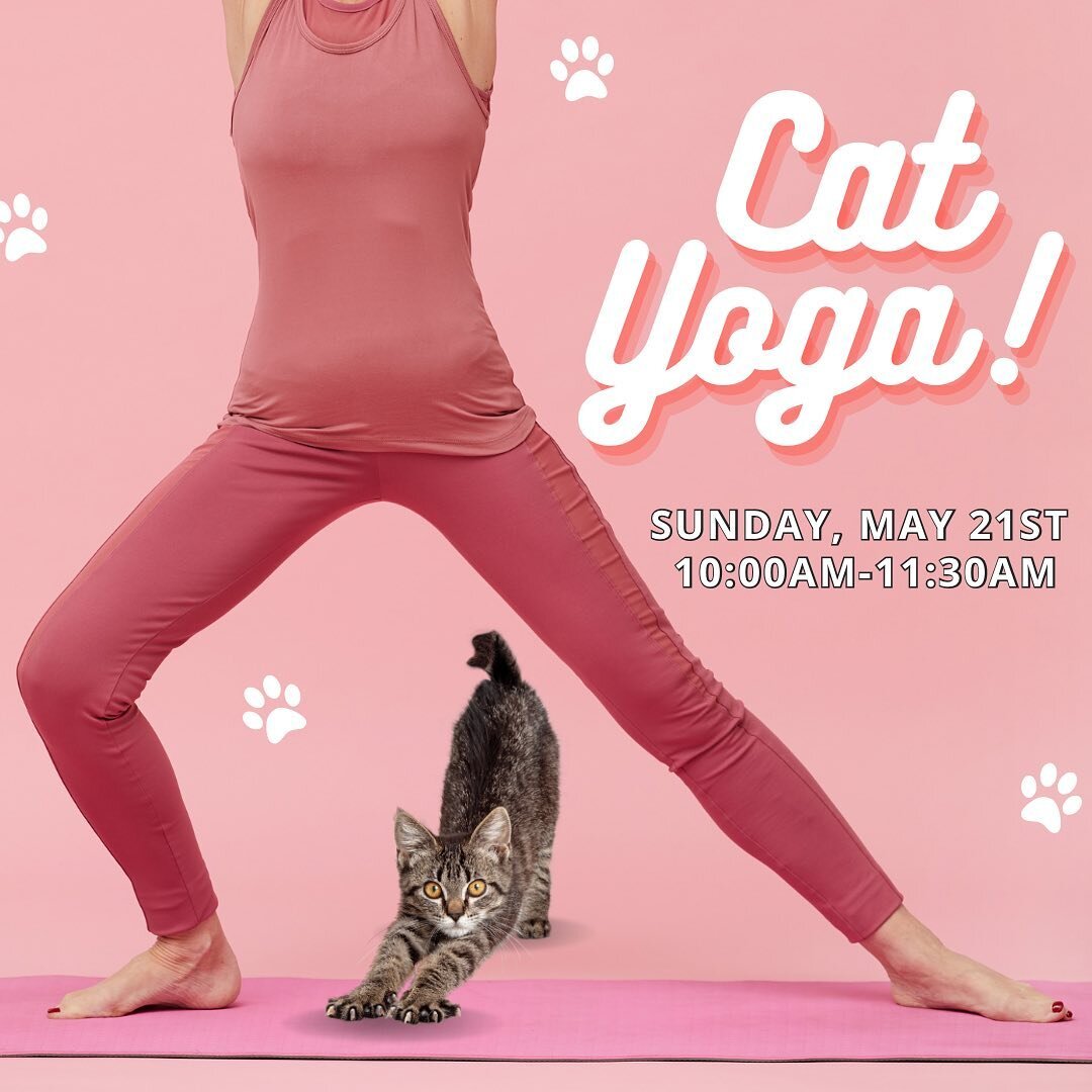 Cat yoga is BACK!!!! 😻🙌

Join us this Sunday, May 21st for stretches, coffee, and cats! Tickets for cat yoga are $20 and include one hour of slow flow, 30 mins of kitty cuddles, and coffee or tea to enjoy post-yoga. $5 from each ticket will be dona