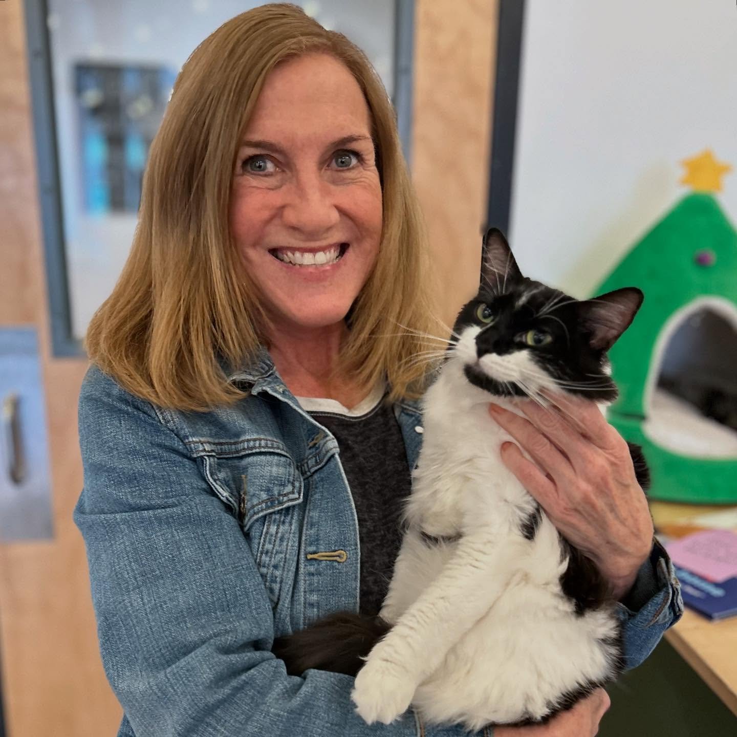 ADOPTION DUMPPPP 😻😻

Congratulations to Juno, Shania Twain, Sinatra, and Dagger for finding their forever homes! We miss them so much already but we are SO excited for these sweet babies and their new families!!! 💕