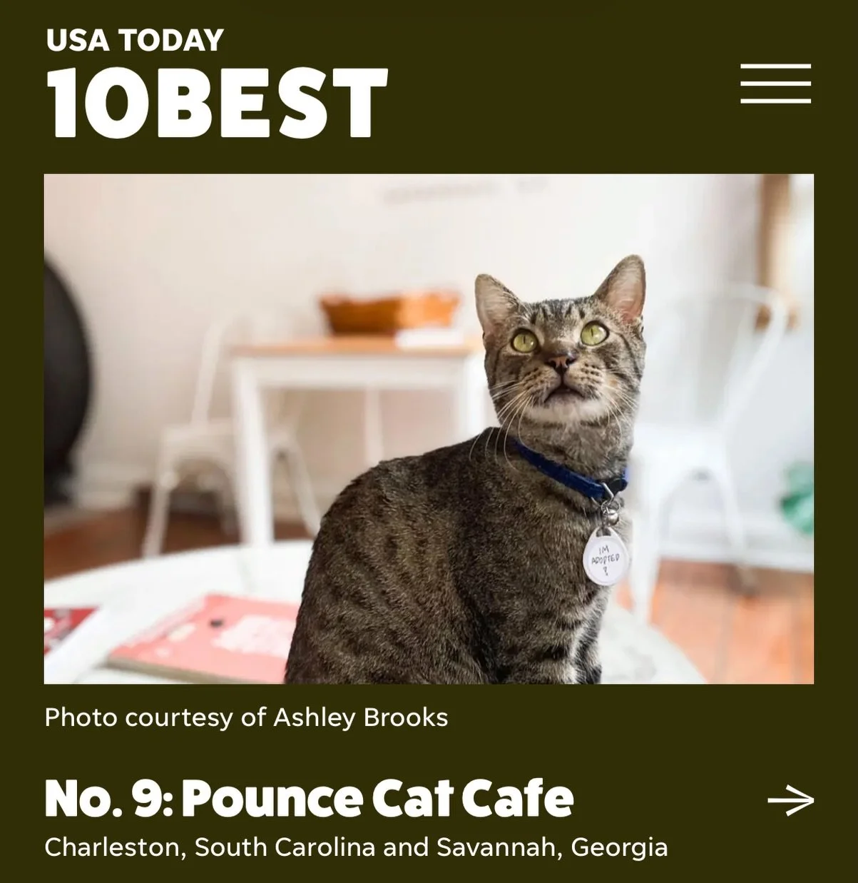 We are so honored to be voted one of @usatoday&rsquo;s top 10 best cat cafes in the country!! 😻Thank you so much to everyone who voted for us and continues to support our mission. We love y&rsquo;all!! 🎉