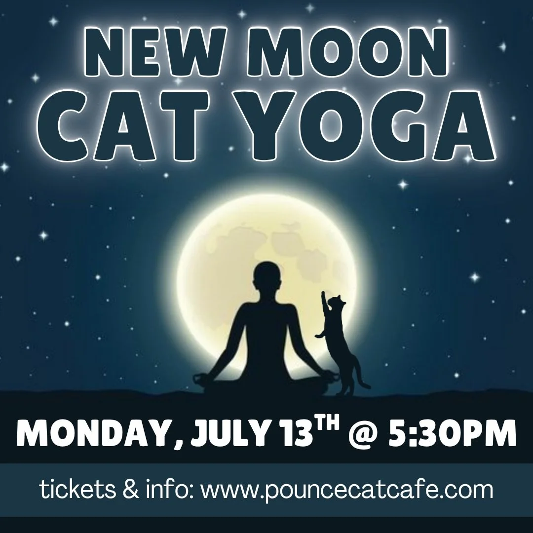 ✨ NEW EVENT ALERT!! ✨

Join us for an evening of cat yoga, manifestation, and healing under the new moon in Cancer! Set intentions, reflect on your goals, and learn about the astrology behind this powerful new moon!

Tickets for cat yoga are $30 per 