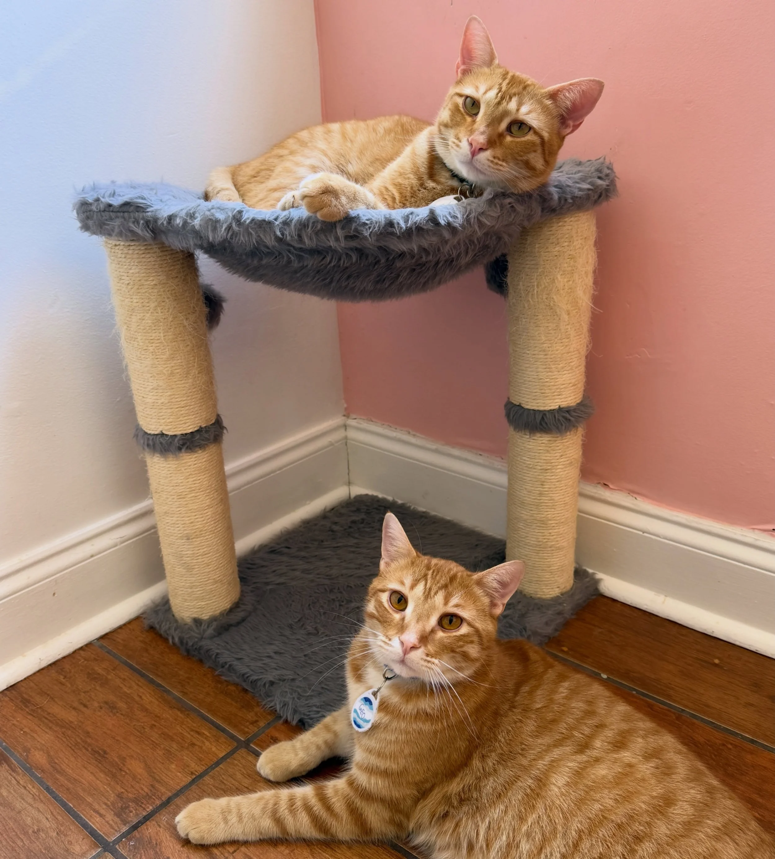 Just two very handsome men 🧡