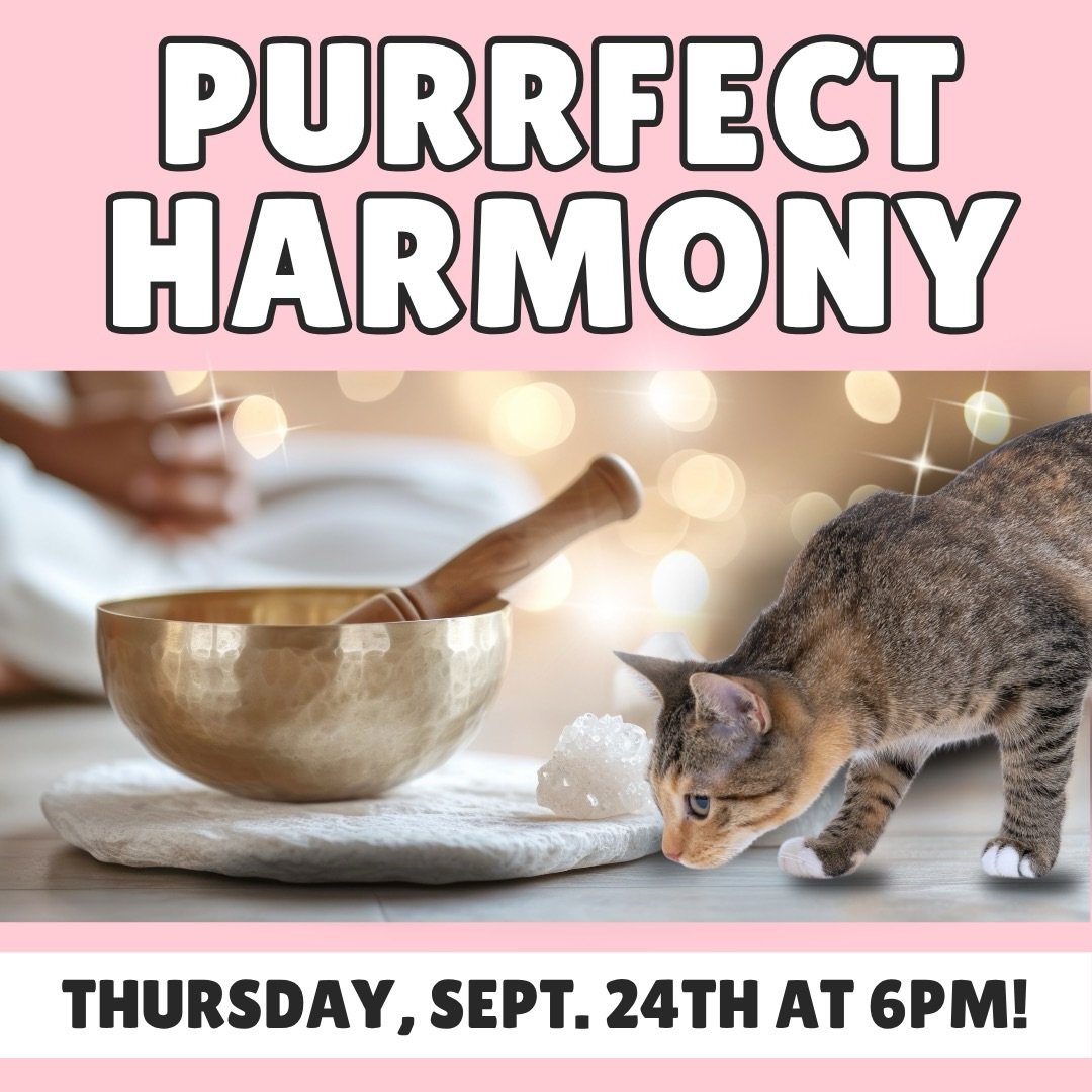 Join us next Thursday 9/24 at 6pm for a relaxing evening of healing with cats! 💕
 
A sound bath is a transformative sound experience designed to cleanse, balance, and realign your entire energetic system. You&rsquo;ll be immersed in magical, healing