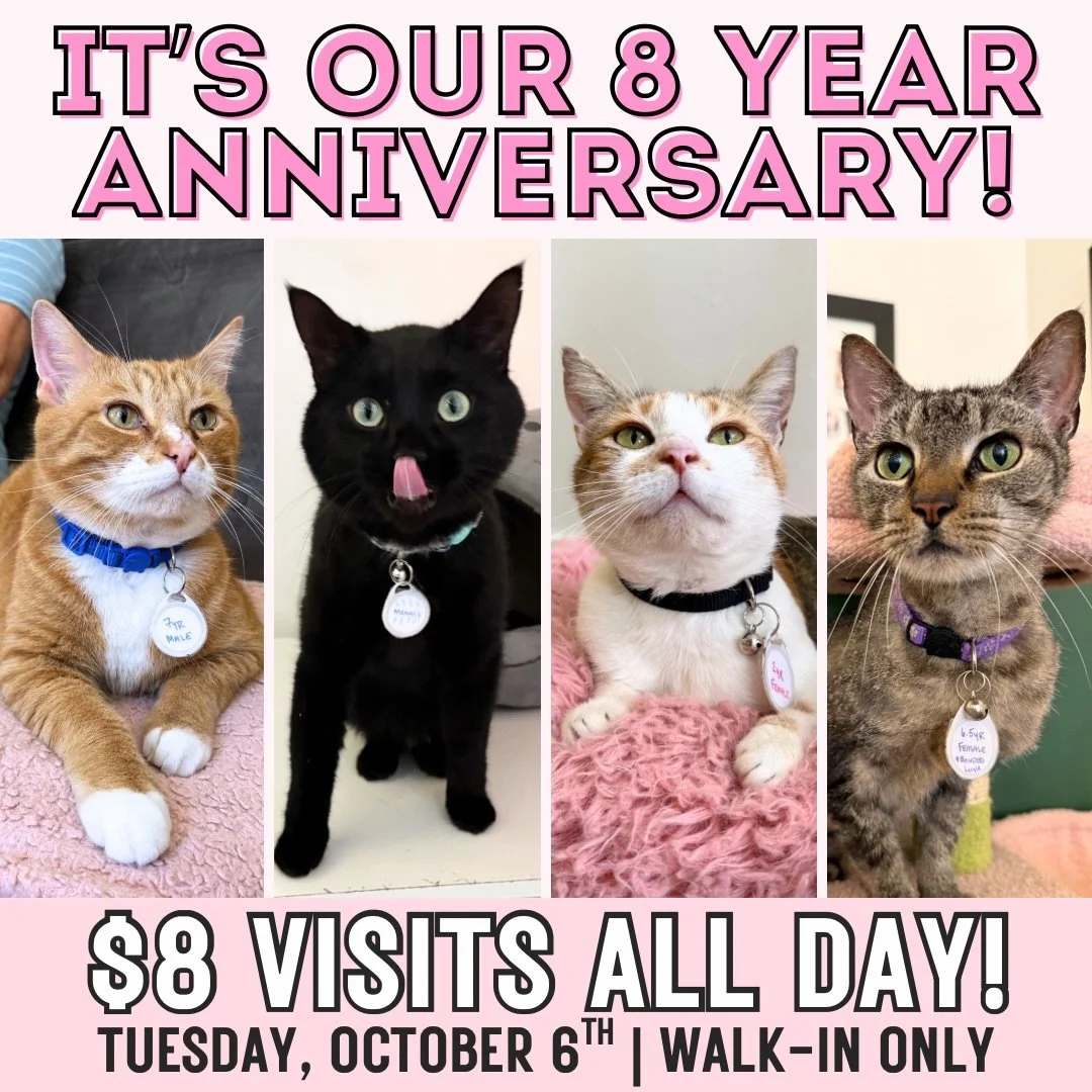 WE&rsquo;RE TURNING 8!!!!! 😻

In honor of our 8th birthday, stop in to celebrate with $8 half hour visits all day long! 💕

The past 8 years have absolutely flown by, and we cannot thank everyone enough for all of the love and support you have shown