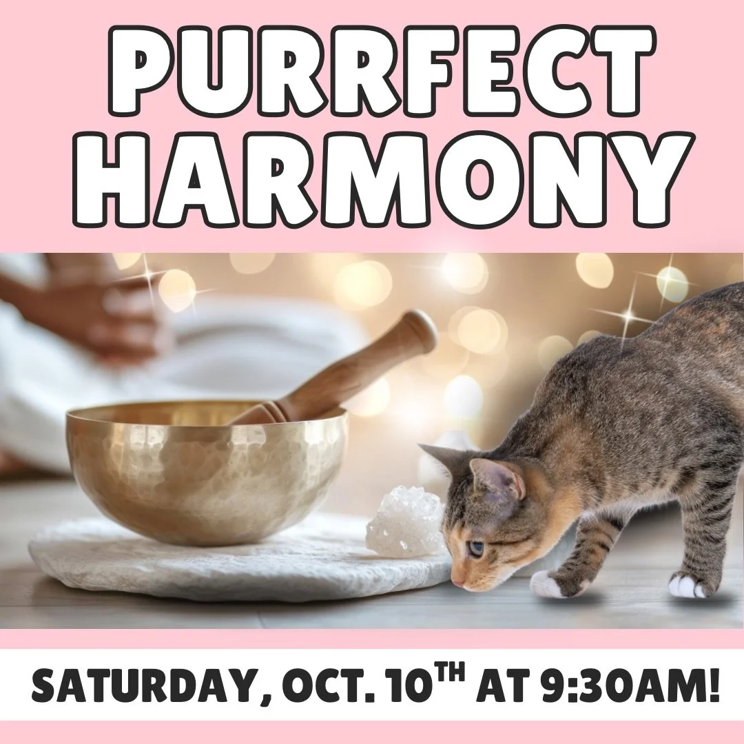 Join us this Saturday, October 10th at 9:30am for a relaxing morning of healing with cats! 💕
 
A sound bath is a transformative sound experience designed to cleanse, balance, and realign your entire energetic system. You&rsquo;ll be immersed in magi