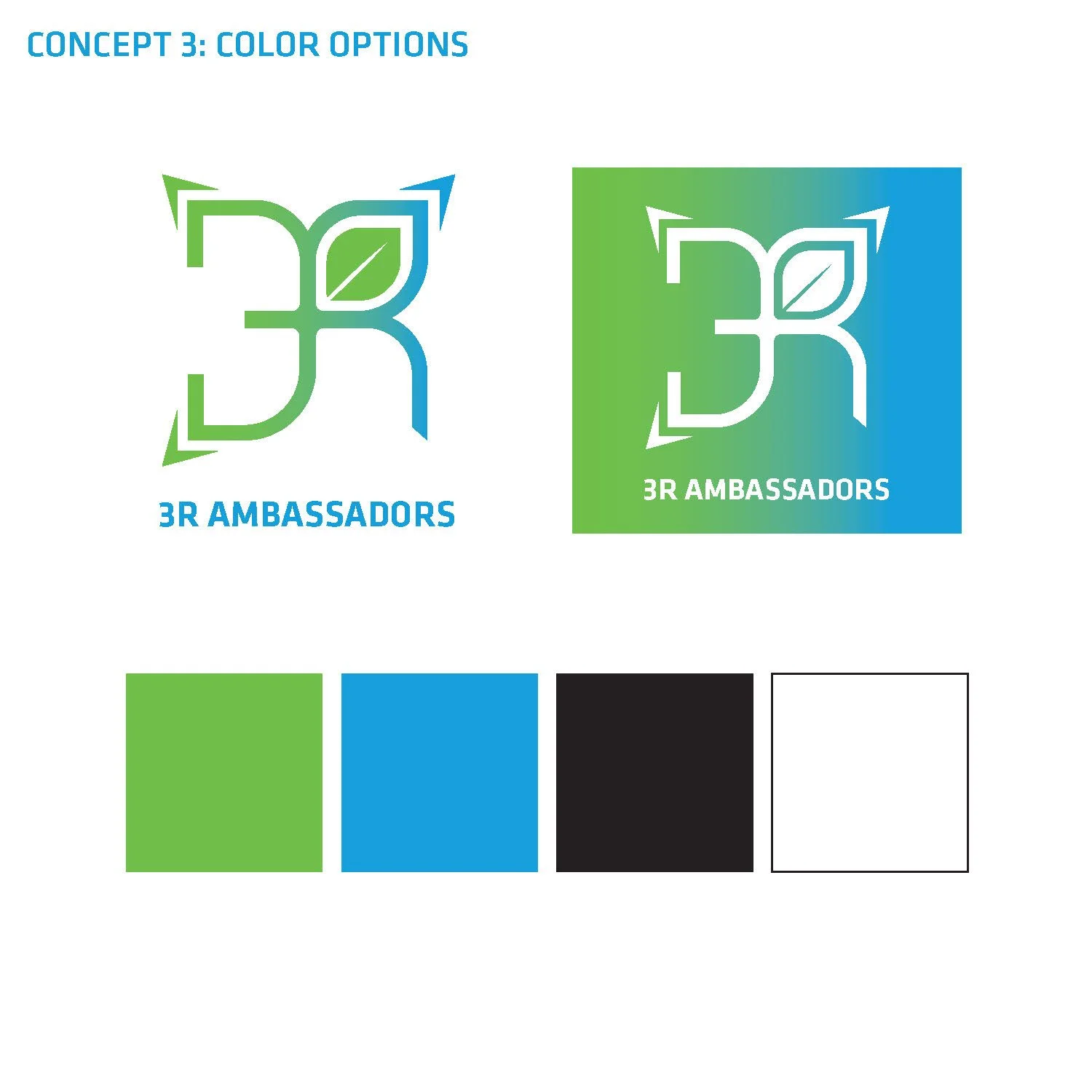 3RAmbassador Program_logoRound1_Page_08.jpg
